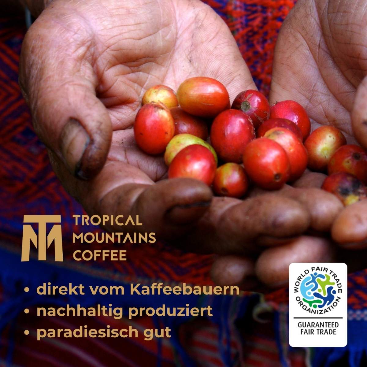 Tropical Mountains Angelito Fair Trade Kaffee 1000g Bohnen
